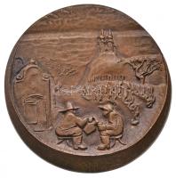 Veszely Jelena (1917- ) DN "Tihany" egyoldalas Br plakett dísztokban (112mm) T:2 Hungary ND "Tihany" one-sided Br plaque in case. Sign.: Jelena Veszely (112mm) C:XF