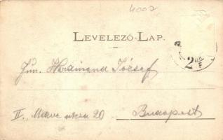 1903 Temesvár, XV. Országos Dalünnepély versenycsarnoka, belső; Kiadó Kossák József / Hall of music ...