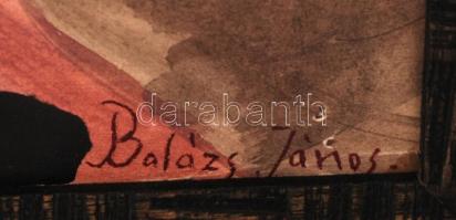 Balázs jelzéssel: Spicces álom, akvarell, papír, fa keretben, 57,5×40 cm