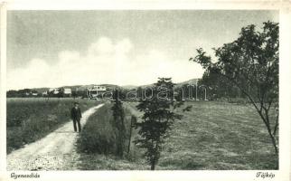 Gyenesdiás, 3 db régi városképes képeslap, vegyes minőség