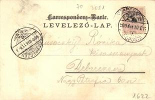 Neuchatel, Cacao Suchard advertisement, coat of arms, floral, litho (fl)