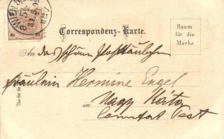 1899 Vienna, Wien; Radetzky Denkmal, Hof / statue, market, coat of arms, Schneider & Lux floral ...