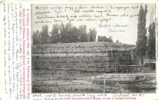 Arad, Vársánc melyben 1849-ben Pöltenberg Ernő, Kiss Ernő, Lázár Vilmos és Schweidel József vértanúkat kivégezték / castle rampart where the martyrs were killed