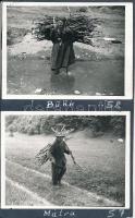Rőzsehordók a Bükkben és a Mátrában, 2 db kartonra ragasztott fotó, 9x12 cm