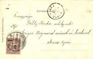 Marosvásárhely, Targu Mures; Széchenyi tér, humoros részege lap, szőlők, kiadja Holbach Ede / square...