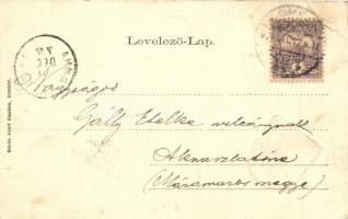 Zombor, Sombor; Római katolikus templom, Szentháromság tér, címer, kiadja Schön Adolf / Roman Cathol...