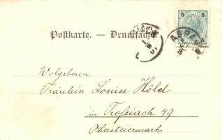 Amt-Aspang, Doppelreiter's Sagewerk, Gasthaus zur Steinplatte / sawmill, guest house, floral (E...