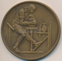 DN "Hollóháza" kétoldalas Br érem (60mm) T:2