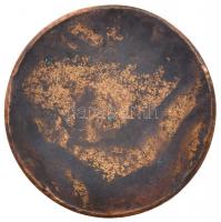 Vincze Pál (1907-1994) DN "Dr. Grünwald Sanatorium Budapest" Br emlékérem (45mm) T:2-,3
H...