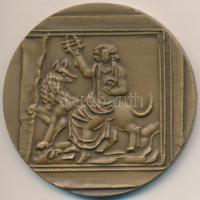 DN "Szombathely város tanácsa" Br emlékérem (60mm) T:2 kis ph