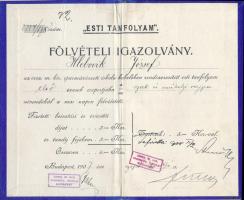 1907 Az orsz. m. kir. iparművészeti iskola Fölvételi Igazolvány "Esti Tanfolyam,"  16x10cm