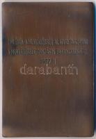 Kiss Nagy András (1930-1997) 1977. "De elvtársaim! Ez az a munkásság, mely osztályharcban vasba...