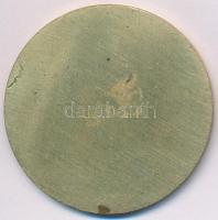 ~1960. "Egy napot Pécsért" aranyozott fém emlékérem (47,5mm) T:2