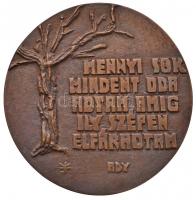 Konyorcsik János (1926-2010) DN &quot;Mennyi sok mindent odaadtam, amíg ily szépen elfáradtam / Ady&quot; Br emlékplakett (98mm) T:2 Hungary ND Br plaque with citation from Endre Ady. Sign.: János Kocsornyik (98mm) C:XF