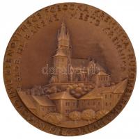 Csehszlovákia 1965. "Hám Antal éremművész 1899-1965 / Körmöcbánya" Br emlékérem (60mm) T:2...