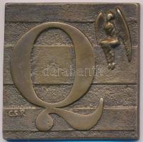 Csíkszentmihályi Róbert (1940-) DN "Qualitás Galéria" Br plakett (50x50mm) T:2-