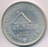 Lapis András (1942-) 1981. "10 éves a Kiskőrösi Csoport / Petőfi szülőháza" jelzett Ag eml...