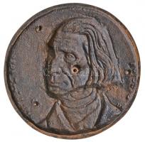 Vass Csaba (1950-) 1986. "Liszt 1886-1986 Kalocsa" Br plakett felcsavarozható hátlappal (9...