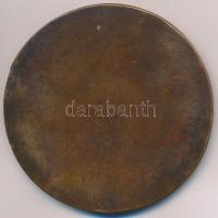 DN "Aranybulla pecsétje" egyoldalas Br érem (80mm) T:2