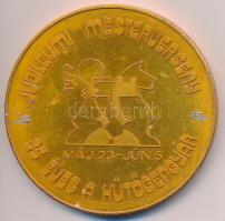 1977. "25 éves a Hűtőgépgyár - Jubileumi mesterverseny" sakk témájú aranyozott fém plakett (79,5mm) T:2-