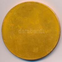 1977. "25 éves a Hűtőgépgyár - Jubileumi mesterverseny" sakk témájú aranyozott fém plakett...