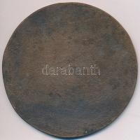 Rácz Edit (1936-) 1972. "Vezess Baleset Nélkül Mozgalom" Br emlékplakett (95mm) T:2