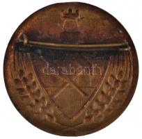 ~1930. Br sakkjelvény (36mm) T:2 ph