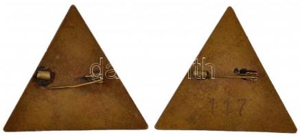 ~1930. "Egészségügyi Szakiskola Oktatója" + "Egészségügyi Szakiskola Hallgatója"...