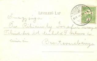 Buziásfürdő, Buzias; Fürdő park, Nosek Gusztáv kiadása / spa park  (EK)