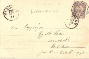 Tusnád, Rezső forrás / Rudolfsquelle / spring