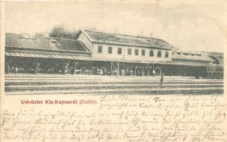 Kiskapus, Copsa Mica; vasútállomás / railway station