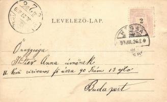 1899 Kassa, Kosice; híd, utca, Urbán A.M. üzlete; kiadja Vitéz A. / bridge, street, shop