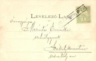 Losonc, Lucenec; Városháza, Kubinyi tér, Hochfelder D. üzlete / town hall, square, shop