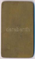 Maróti Géza (1875-1941) ~1920. "MAFC - Műegyetemi Athletikai és Football Club" Br díjplake...