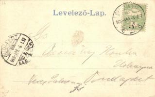 Érsekújvár, Nové Zamky; Kossuth Lajos tér, Leuchter Izidór üzlete, templom / square, shop, church (E...