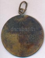 DN "Dante 'Mindenki őt csodálja - Mindenki neki hódol' / 1321-1921" fém érem fül...