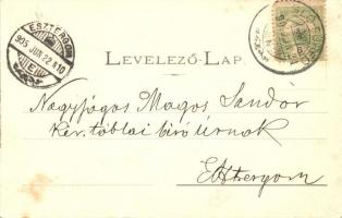 Iglófüred, Hungária, Tátra, Nagy fürdőház, kiadja Wlaszlovits Gusztáv / hotels, spa