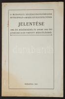 1910 A Budapesti Segédgyógyszerészek Betegápoló és Segélyező Egyesületének jelentése. 28p.