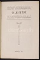 1910 A Budapesti Segédgyógyszerészek Betegápoló és Segélyező Egyesületének jelentése. 28p