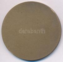 DN "Magyar Vöröskereszt VIII. Kerületi Vezetősége - Véradók Napja" egyoldalas Br emlékérem...