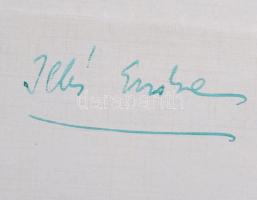 1948 Illés Endre (1902-1986) író, a Révai Irodalmi Intézet igazgatójának saját kézzel írt levele Égh...