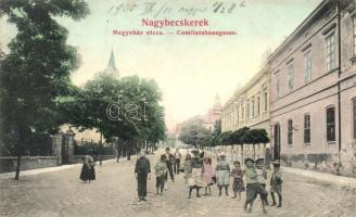 Nagybecskerek, Zrenjanin; Megyeház utca / street