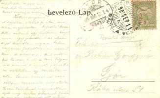 Nagybecskerek, Zrenjanin; Megyeház utca / street