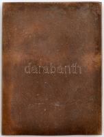 Nagy János (1935-) 1968. "Dr. Steinmetz Endre 1902-1968 - P.E.A.C." Br plakett "DUCHN...