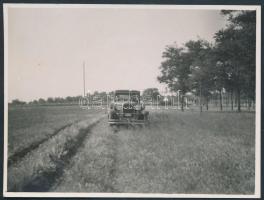 1935 Fotó a balatoni műút mellett Székesfehérvártól kb. 5km-re, verzón feliratozva, 8x11cm
