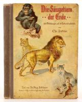 Votteler, Chr., Schleyer, A.: Die Säugetiere der Erde Fürth I. B. cca 1890. Löwensohn. 169 képpel és 30 szíbes litho táblával a szövegben. Laza, egy helyt elvált félvászon kötésben. Biai Vöglein István tulajdonosi névbejegyzésével. / With 169 illustrations and 30 colored litho images in the text. Half linen binding, a bit loose.