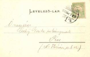 Kolozsvár, Cluj; Deák Ferenc utca, Városháza, Tamási Tamás és fia üzlete, kiadja Fabritius Erik / st...