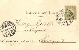 Rónaszék, Costiui; Bányahivatal és főnöki lakás, kiadja Kaufman Ábrahám / mine office and director&#...