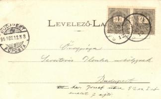 1899 Máramaros, Kincstári telep; Mayer és Berger kiadása / mine plant (EK)