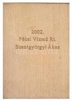 2002. "Nemzeti Minőségi Díj / Pécsi Vízmű Rt. Szentgyörgyi Ákos" Br plakett eredeti tokban...